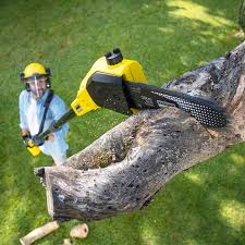  Bermuda Dunes, CA Tree Removal and Landscaping Services Pros